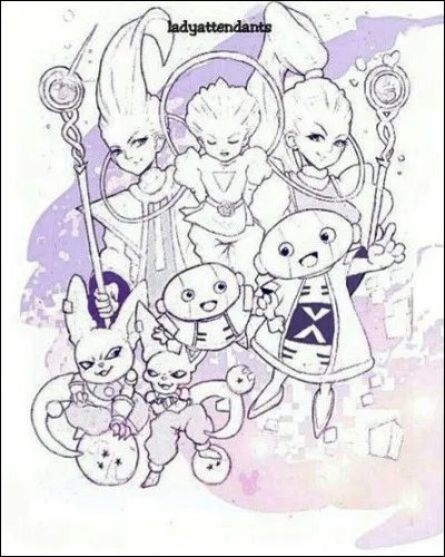 Qui s'est chargé de mettre au courant tous les univers pour le Tournoi du Pouvoir ?