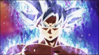 Goku a eu l'Ultra Instinct à partir de : 
(Attention, question piège)