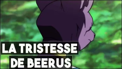 Lors d'un épisode, Beerus est triste. Pourquoi ?