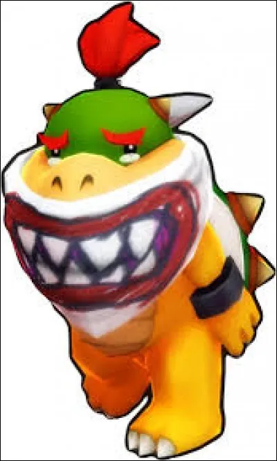 Et pour finir, une question "bonus" ! D'après une célèbre théorie, qui serait en fait la mère de Bowser Jr, le fils de Bowser ?