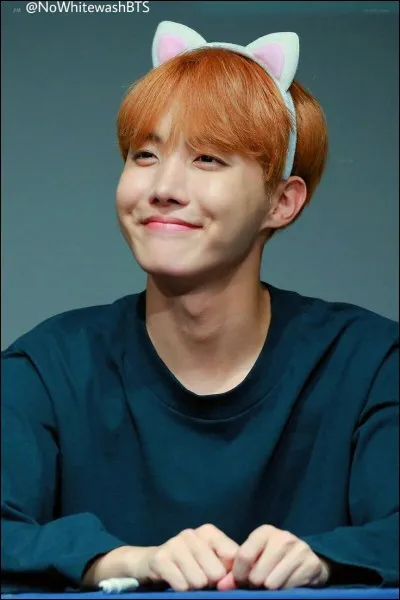 Comment surnomme-t-on J-Hope ?