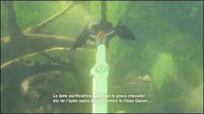 Nomme le prodige qui se battait exclusivement à l'épée à une main...