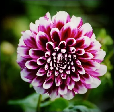 Un ami m'a réconforté, je lui ai promis qu'en cas de besoin ...