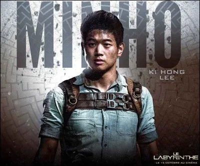 Pourquoi Minho revient-il du labyrinthe avant l'heure ?