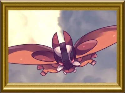 Papilord - Quand est-il actif pour voler le miel des Apitrini ?