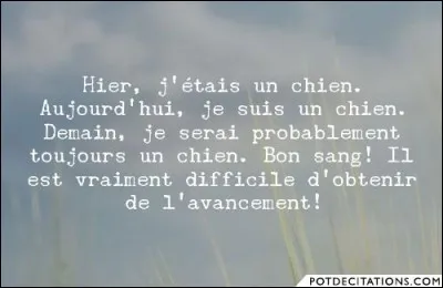 Qui a dit : « Hier, j'étais un chien, aujourd'hui, je suis un chien, demain, je serai probablement toujours un chien. Bon sang ! Il est vraiment difficile d'obtenir de l'avancement ! » ?