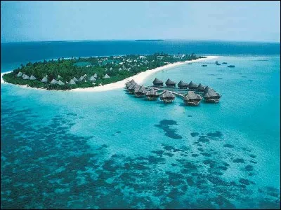 Quel est le statut de Nécrole sur l'île de l'indicatif ?