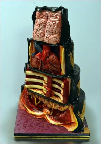 A votre avis, qu'est-ce que cette horreur ?