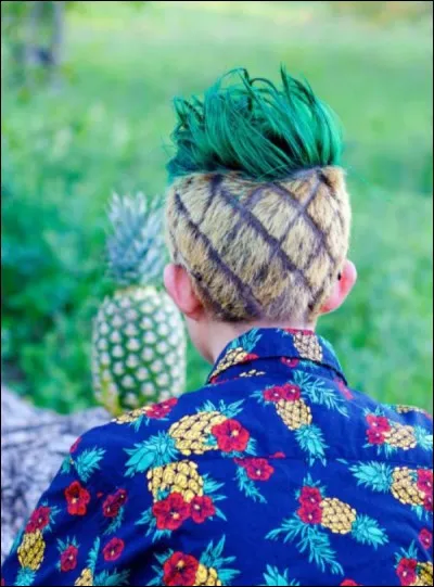 Tout mignon pour les longs mois d'hiver, la coiffure ananas... Quel fruit risque de poser nettement plus de problèmes... ?