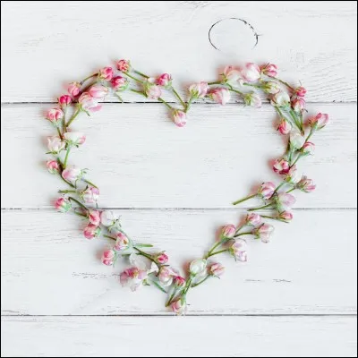 Qui est l'auteur du poème : 'Mon rêve familier' ?