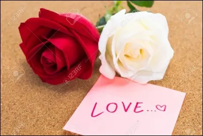 Qui est l'auteur du poème : 'Mignonne, allons voir si la rose' ?