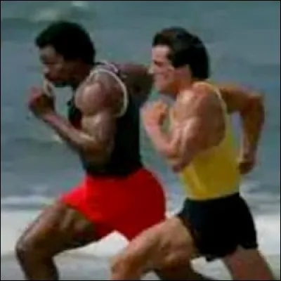 Que prête Apollo à Rocky dans « L'il du tigre » ?