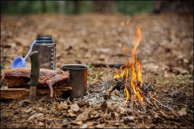 Laquelle des vidéos gaming suivantes n'a pas été faite avec Survival ? (Indice : animal)