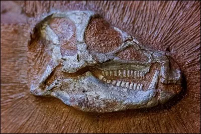 Quelle est la vidéo la plus récente en mars 2018 ? (Indice : Garry's Mod)