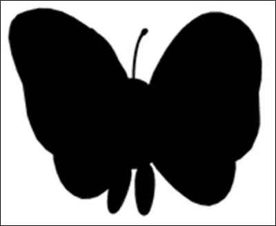 Quel est ce Pokémon de Sacha ?