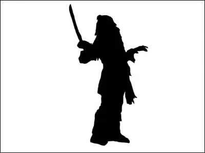 Qui adore son navire et boit du rhum ?