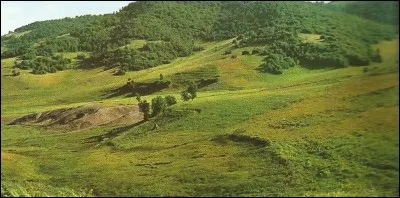 De combien de provinces est formée la Calabre ?