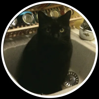 Que déclare Étoile Noire lors d'une assemblée ?