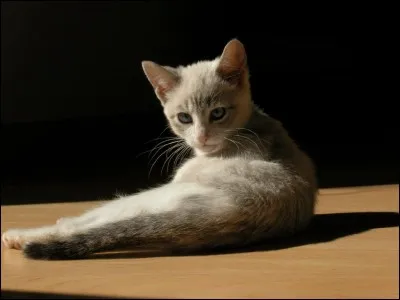 Peu après le drame un apprenti est nommé, qui ?