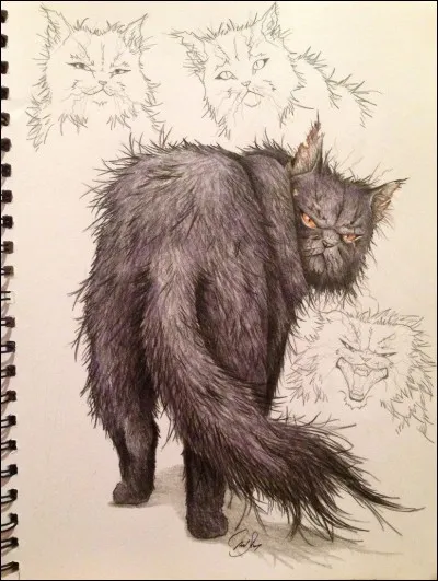 Qu'arrive-t-il à Plume Brisée après la bataille ?