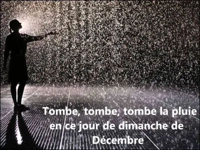 Trouvez l'animal - Il fait un temps de :