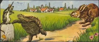 Dans la fable "Le Li&egrave;vre et la Tortue" qui gagne la course ?