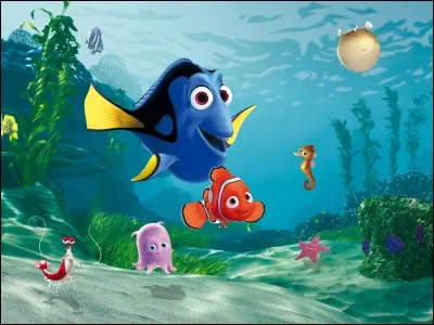 Quel poisson Nemo est-il ?