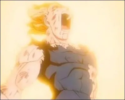 Contre qui Vegeta utilise-t-il la technique de sacrifice au tournoi de Zen'o ?