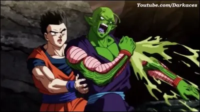 Contre qui Piccolo et Gohan combattent-ils en équipe ?
