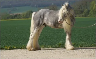 Quelle est cette robe ?