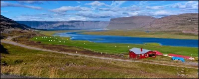 À quel endroit d'Islande ne se trouvent pas de grands fjords ?