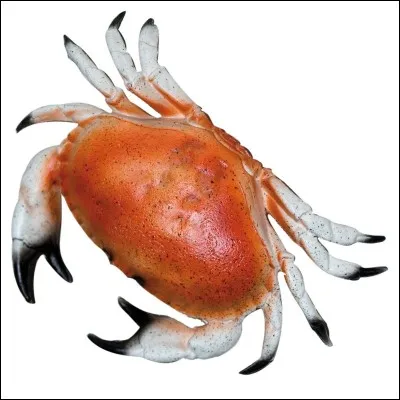 Le crabe fait partie de la famille des :
