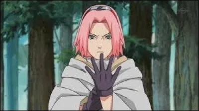 Naruto Shippuden : Que fait Sakura quand Naruto l'agace ?