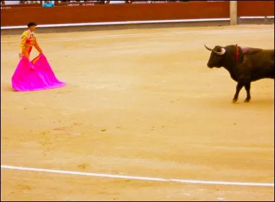 Quel animal est l'un des embl&egrave;mes de l'Espagne ?