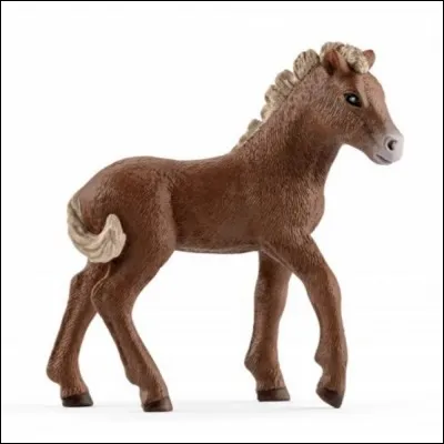 Cette pouliche est-elle exclusive ?