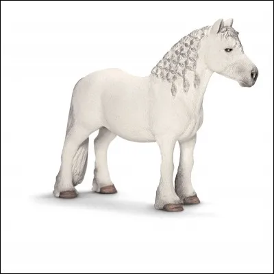 Quelle est sa race ?