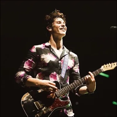 Quelle est son équipe préférée au hockey ?