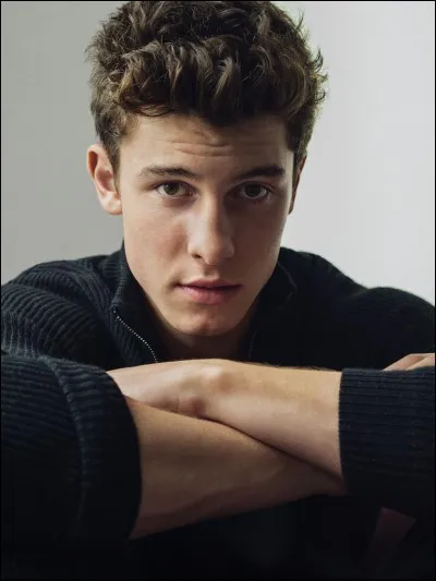 Quel est son groupe préféré ?