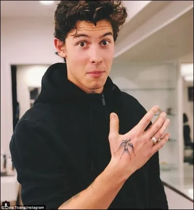 Combien Shawn a-t-il de tatouages ?