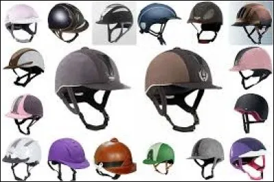 Voici un équipement du cavalier : quel est cet équipement ?