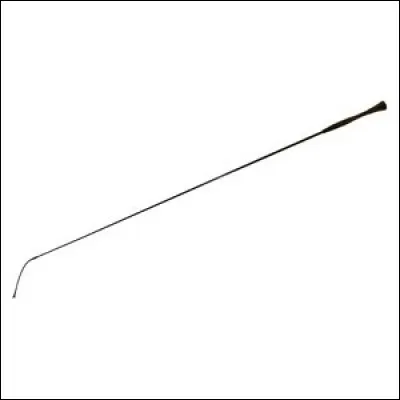 Voici un instrument pour les moniteurs ou pour les monitrices : comment s'appelle-t-il ?