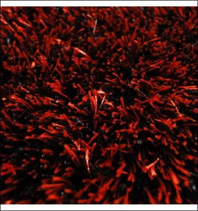 Qui a écrit "Le rouge et le noir" ?