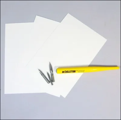 Ont-ils remporté le prix Tezuka du premier manga publié ?