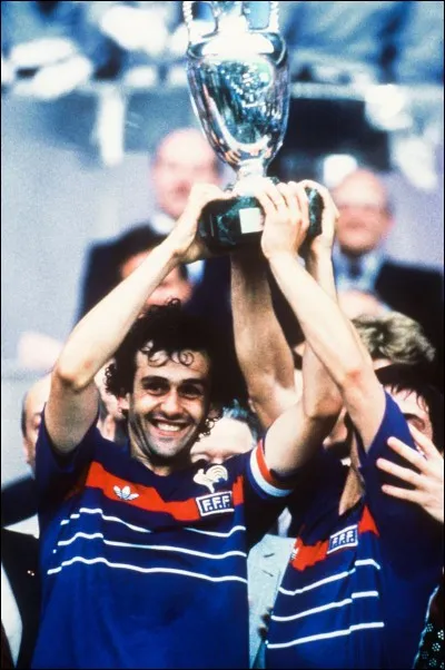 Lors de L'Euro 1984 en France, Michel Platini inscrivit un nombre de buts qui, en 2018, reste le record absolu de buts marqués dans un seul Championnat d'Europe de football. Combien de buts avait-il marqués ?