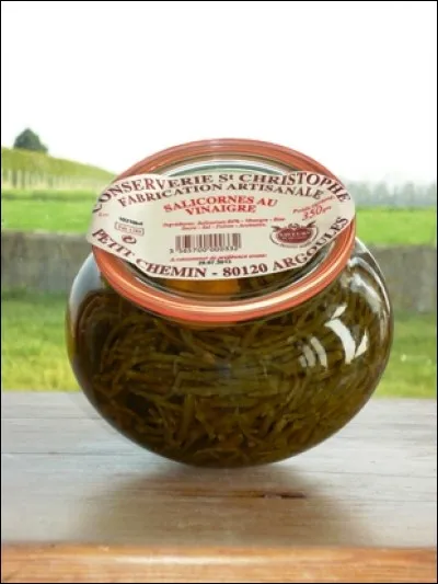 Longue et fine comme un haricot vert, c'est une plante sauvage qui pousse dans les marais salants. Son nom rime avec une friandise. Laquelle ? (Agrandissez l'image.)