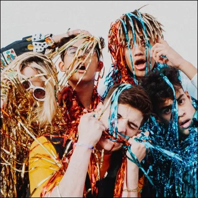 Comment appellent-ils leurs fans ?