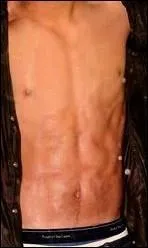 A qui appartient ce torse ?