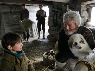 Que fait C&eacute;sar en voyant un des jeunes patous essayer d'entrer dans l'enclos des moutons dans la bergerie ?