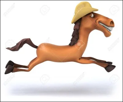 Comment s'appelle la chose que l'on met sur la tête du cheval ?