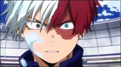 Comment Shouto Todoroki a-t-il reçu sa cicatrice ?